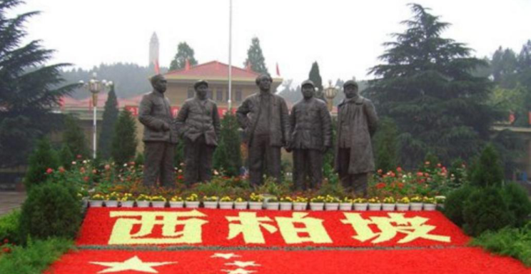 2020年国家公务员录用考试《行测》真题（副省级网友回忆版）(图5)