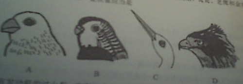 2016下半年教师资格证考试《幼儿综合素质》真题及答案(图2)