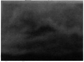 2017下半年教师资格证考试《幼儿综合素质》真题及答案(图2)