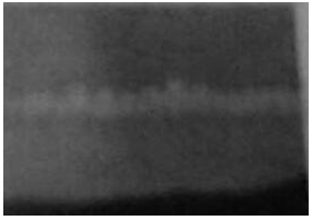 2017下半年教师资格证考试《幼儿综合素质》真题及答案(图3)