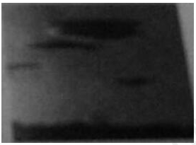 2017下半年教师资格证考试《幼儿综合素质》真题及答案(图4)