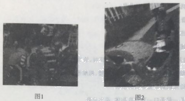 2018年下半年教师资格证考试《保教知识与能力》(幼儿园)真题(图1) 2018年下半年教师资格证考试《保教知识与能力》(幼儿园)真题(图1)