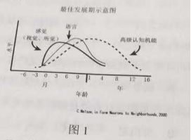 2019年上半年教师资格证考试《综合素质》(幼儿园)真题(考生回忆版)(图1) 2019年上半年教师资格证考试《综合素质》(幼儿园)真题(考生回忆版)(图1)