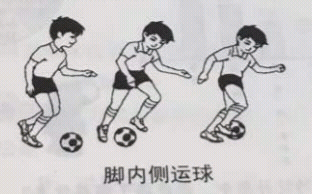 2017上半年教师资格证考试《小学教育教学知识与能力》真题及答案(图9)