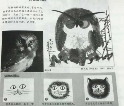 2018上半年教师资格证考试《小学教育教学知识与能力》真题及答案（已完整）(图8)