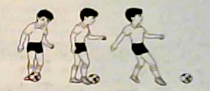 2022年下半年教师资格证考试《教育教学知识与能力》(小学)题(考生回忆版)(图6) 2022年下半年教师资格证考试《教育教学知识与能力》(小学)题(考生回忆版)(图6)