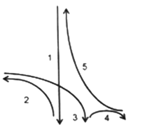 2019年上半年教师资格证考试《初中音乐》真题(图18)
