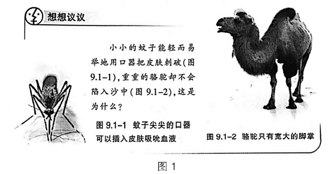 2019年上半年教师资格证考试《初中物理》题(图1)
