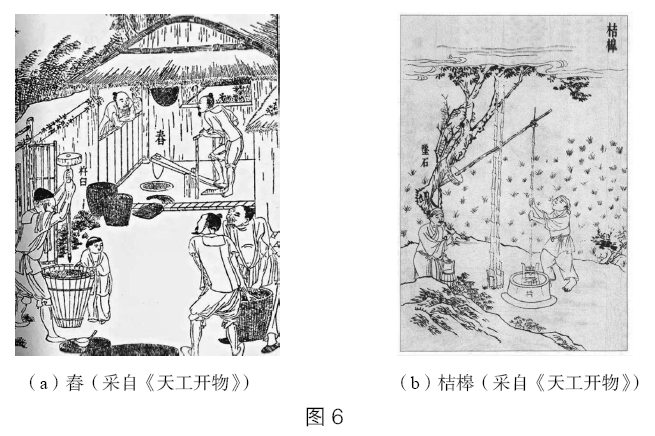 2019年上半年教师资格证考试《初中物理》题(图29)
