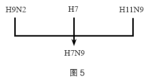 2020年下半年教师资格证考试《初中生物》题（考生回忆版）(图10)