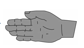 2020年下半年教师资格证考试《初中音乐》题（考生回忆版）(图4)