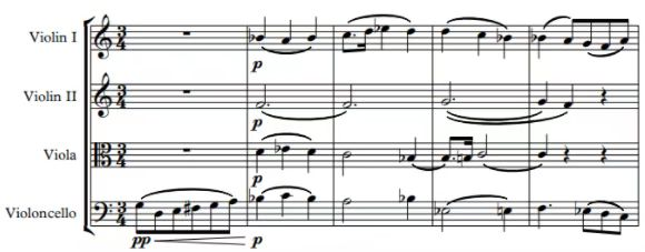 2021年下半年教师资格证考试《初中音乐》题（考生回忆版）(图20)