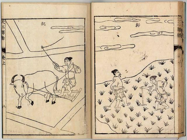 2021年下半年教师资格证考试《初中历史》题（考生回忆版）(图4)