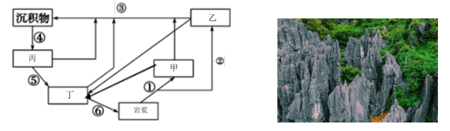 2021年下半年教师资格证考试《初中地理》题（考生回忆版）(图3)