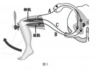 2021年上半年教师资格证考试《初中生物》题(图14)