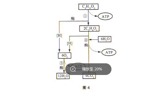 2021年上半年教师资格证考试《初中生物》题(图15)