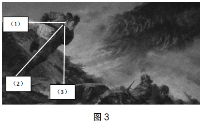 2022年上半年教师资格证考试《初中美术》题(图3)