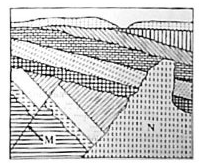 2023年上半年教师资格证考试《初中地理》题（考生回忆版）(图5)