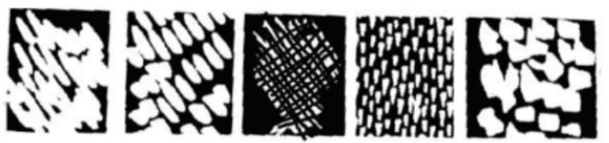 2023年上半年教师资格证考试《初中美术》题（考生回忆版）(图11)