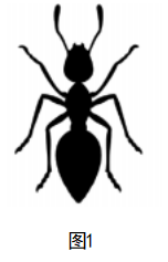 2023年上半年教师资格证考试《初中生物》题（考生回忆版）(图1)