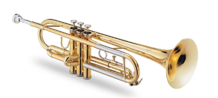 2023年下半年教师资格证考试《初中音乐》题（考生回忆版）(图4)