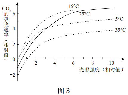 2019年下半年教师资格证考试《高中生物》题(图3)
