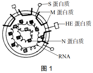 2019年上半年教师资格证考试《高中生物》题(图1)