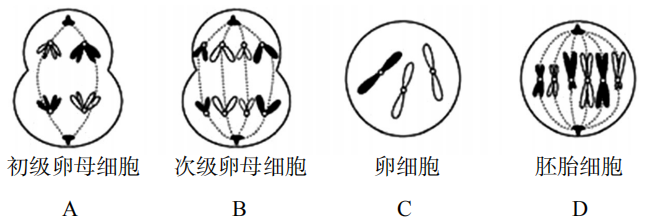 2019年上半年教师资格证考试《高中生物》题(图6)