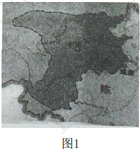 2019年下半年教师资格证考试《高中历史》题(图1)