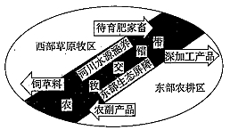 2019年上半年教师资格证考试《高中地理》题(图5)