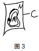 2020年下半年教师资格证考试《高中生物》题（考生回忆版）(图3)