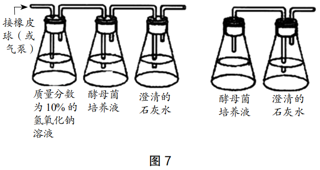 2020年下半年教师资格证考试《高中生物》题（考生回忆版）(图6)