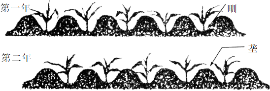 2020年下半年教师资格证考试（高中历史）题(图1)