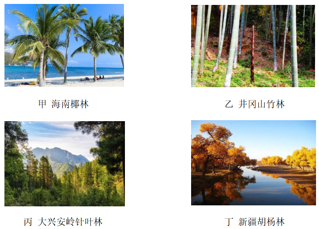 2020年下半年教师资格证考试《高中地理》题(图1)