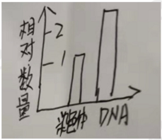 2021年下半年教师资格证考试《高中生物》题（考生回忆版）(图8)