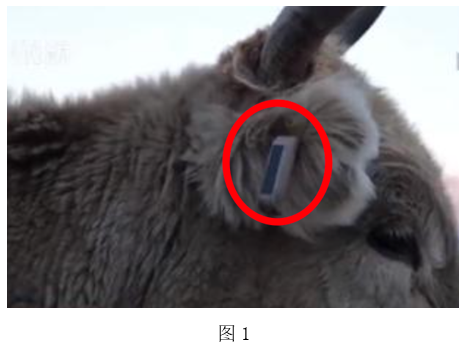 2021年下半年教师资格证考试《高中信息技术》题(图1)