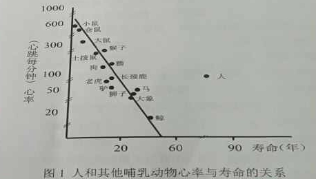 2022年上半年教师资格证考试《高中体育与健康》题(图1)