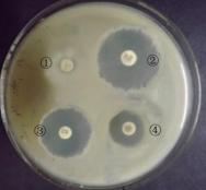 2022年下半年教师资格证考试《高中生物》题(图1)