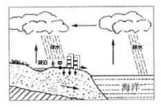 2023年上半年教师资格证考试《高中地理》题（考生回忆版）(图1)