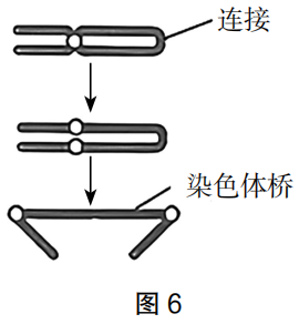 2023年上半年教师资格证考试《高中生物》题（考生回忆版）(图15)