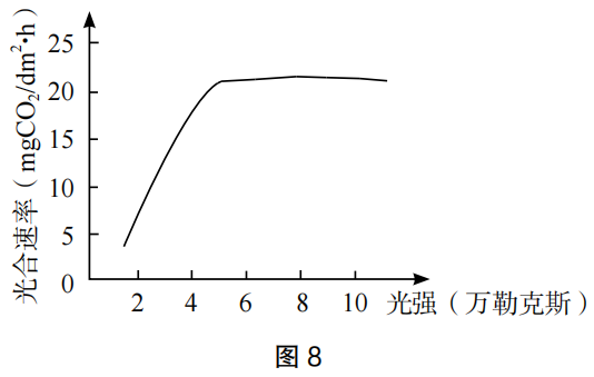 2023年上半年教师资格证考试《高中生物》题（考生回忆版）(图17)