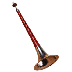 2023年下半年教师资格证考试《高中音乐》题（考生回忆版）(图1)